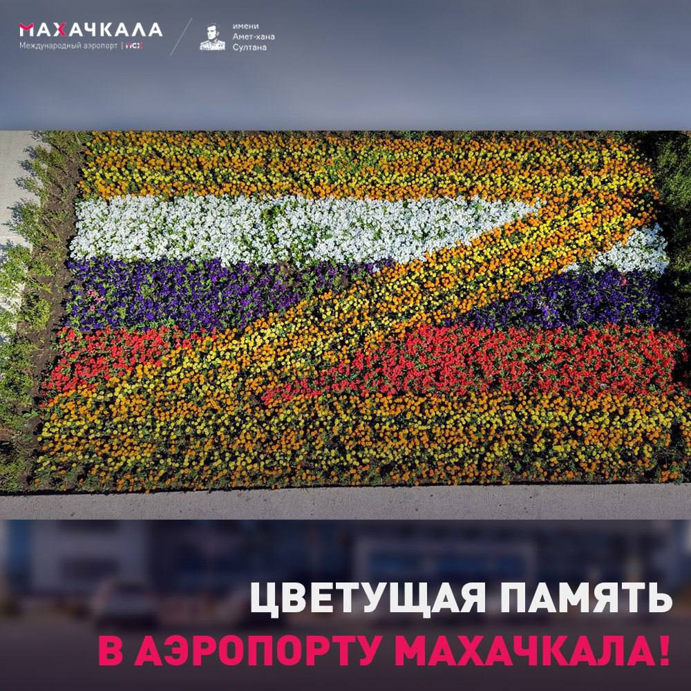 Уважаемые гости и пассажиры!