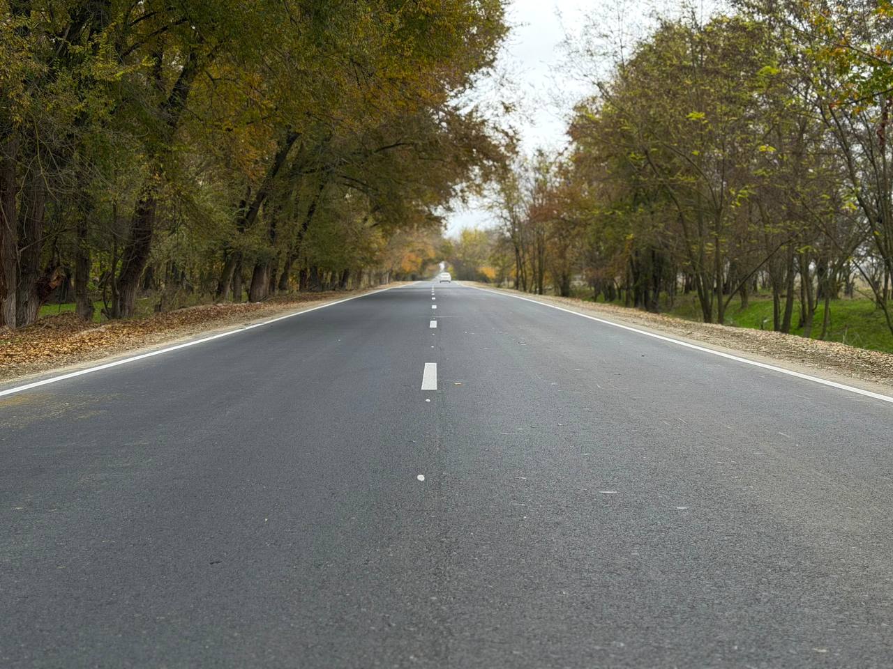 Торжественное открытие обновленной автомобильной дороги в Ногайском районе