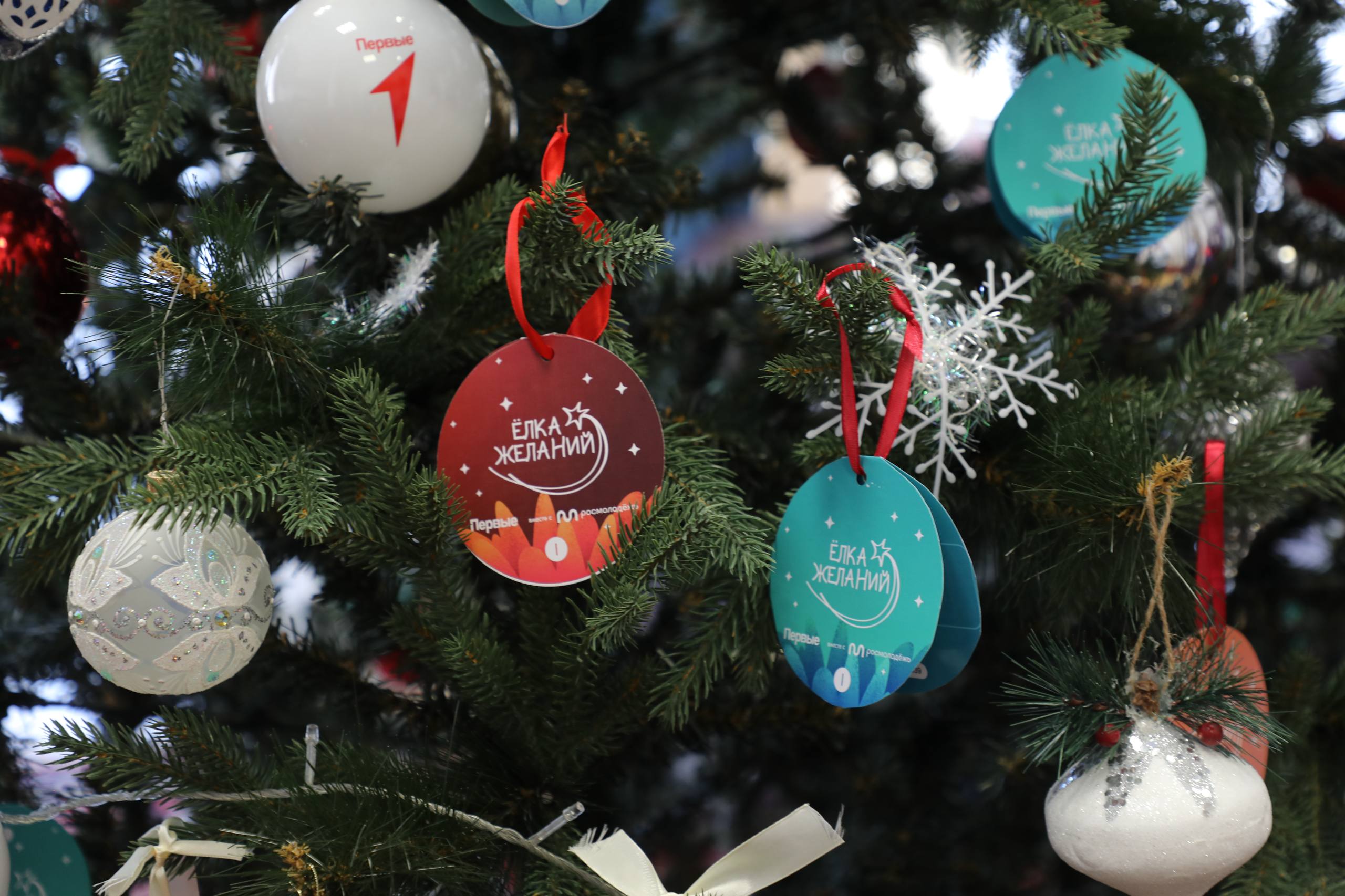 В преддверии новогодних праздников Магомед Тагиров принял участие в акции «Свет надежды»